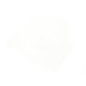 Bunn Tank Inlet Gasket 01201.7999