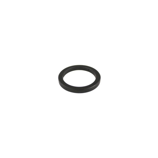 Ascaso Filter Holder Gasket I.4731
