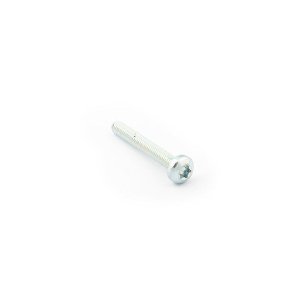 Saeco Screw Torx 20 - 996530012928