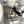 Load image into Gallery viewer, Open Box (#380) Breville The Dual Boiler Espresso Machine, Stainless Steel
