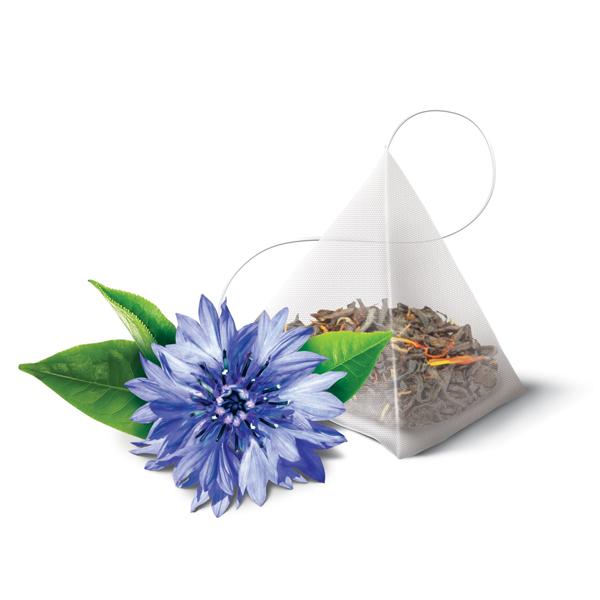 Higgins & Burke Naturals Bergamia Grey Loose Leaf Pyramid Tea Bags 15 Count