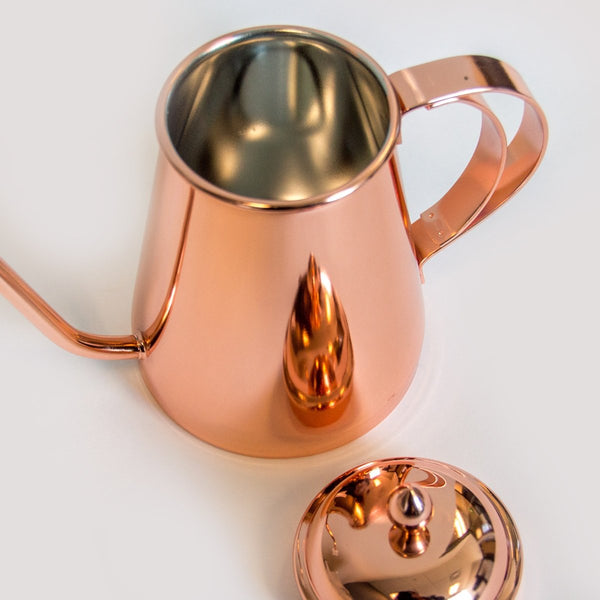 Concept Art Gooseneck Drip Kettle with Lid, 20 oz. Copper