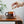 Load image into Gallery viewer, Kinto Sepia Cup 270 ml, Set of 4
