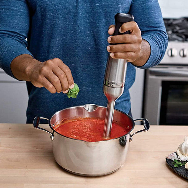 Vitamix Immersion Blender #067991, Stainless Steel