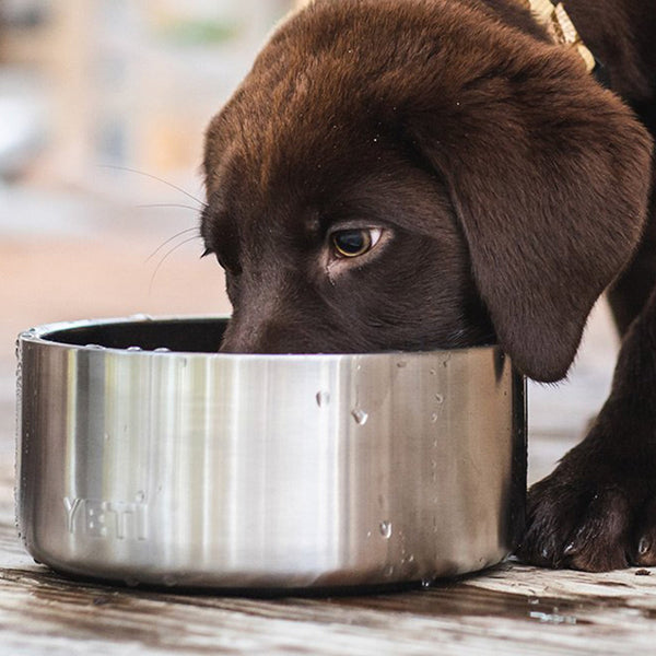 YETI Boomer 4 Cup Dog Bowl, Stainless Steel