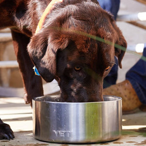 YETI Boomer 8 Cup Dog Bowl, Stainless Steel