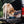 Load image into Gallery viewer, YETI Boomer 4 Cup Dog Bowl, Navy
